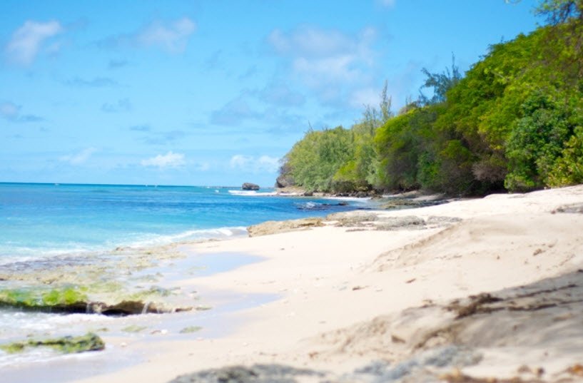 Maycocks Bay, Barbados, Barbados